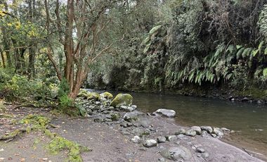 Local Comercial en Venta en Parcela con complejo turísticos 4 cabañas, Parcelación Rio Pescado con acceso a Rio Pescado y Lago Llanquihue