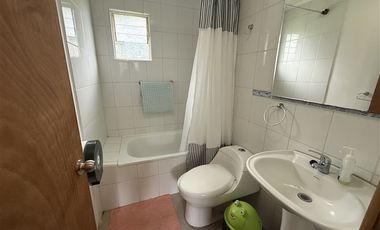 Local Comercial en Venta en Parcela con complejo turísticos 4 cabañas, Parcelación Rio Pescado con acceso a Rio Pescado y Lago Llanquihue