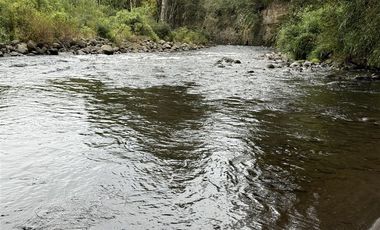 Local Comercial en Venta en Parcela con complejo turísticos 4 cabañas, Parcelación Rio Pescado con acceso a Rio Pescado y Lago Llanquihue
