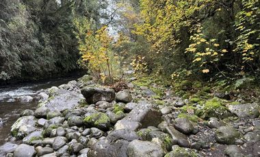 Local Comercial en Venta en Parcela con complejo turísticos 4 cabañas, Parcelación Rio Pescado con acceso a Rio Pescado y Lago Llanquihue