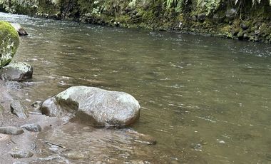 Local Comercial en Venta en Parcela con complejo turísticos 4 cabañas, Parcelación Rio Pescado con acceso a Rio Pescado y Lago Llanquihue