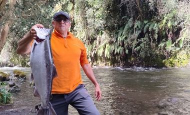 Local Comercial en Venta en Parcela con complejo turísticos 4 cabañas, Parcelación Rio Pescado con acceso a Rio Pescado y Lago Llanquihue