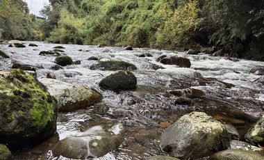 Local Comercial en Venta en Parcela con complejo turísticos 4 cabañas, Parcelación Rio Pescado con acceso a Rio Pescado y Lago Llanquihue