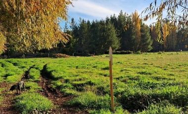 Sitio en Venta en Sector Talquipén | Chillán / Coihueco