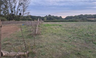 Sitio en Venta en Sector Talquipén | Chillán / Coihueco