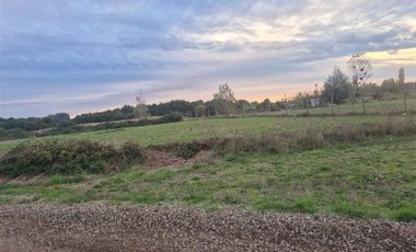 Sitio en Venta en Sector Talquipén | Chillán / Coihueco