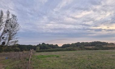 Sitio en Venta en Sector Talquipén | Chillán / Coihueco