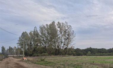 Sitio en Venta en Sector Talquipén | Chillán / Coihueco