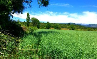 Parcela en Venta en La Amalia