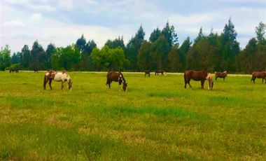 Parcela en Venta en La Amalia