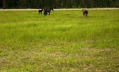Parcela en Venta en La Amalia