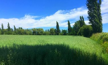 Parcela en Venta en La Amalia