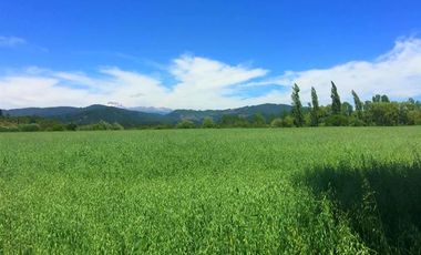 Parcela en Venta en La Amalia