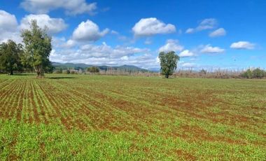 Parcela en Venta en La Amalia