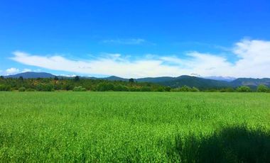 Parcela en Venta en La Amalia