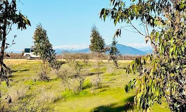 Parcela en Venta en MALLERMO