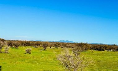 Parcela en Venta en MALLERMO