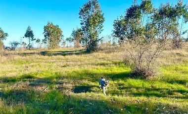 Parcela en Venta en MALLERMO