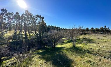 Parcela en Venta en MALLERMO