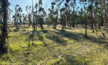 Parcela en Venta en MALLERMO