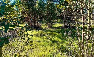 Parcela en Venta en MALLERMO