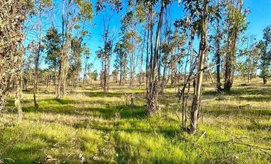 Parcela en Venta en MALLERMO