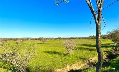 Parcela en Venta en MALLERMO