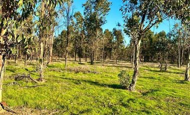 Parcela en Venta en MALLERMO