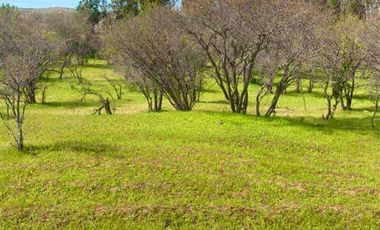 Parcela en Venta en MALLERMO