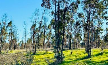 Parcela en Venta en MALLERMO