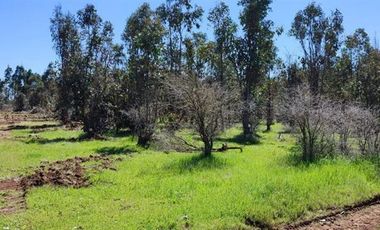 Parcela en Venta en MALLERMO