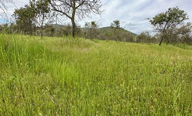 Parcela en Venta en MARCHIGUE