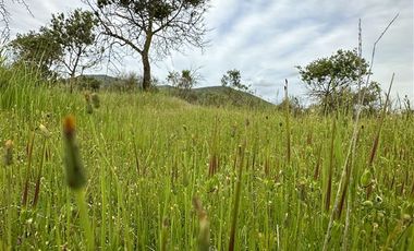 Parcela en Venta en MARCHIGUE