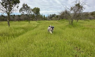 Parcela en Venta en MARCHIGUE