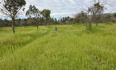 Parcela en Venta en MARCHIGUE