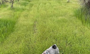 Parcela en Venta en MARCHIGUE