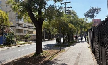Oficina en Arriendo en ELIODORO YAÑEZ
