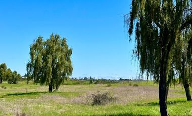 Parcela en Venta en h20