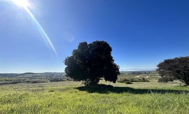 Parcela en Venta en h20