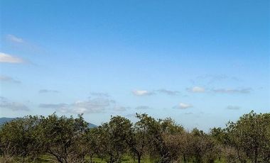 Parcela en Venta en MARCHIGUE