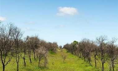 Parcela en Venta en MARCHIGUE