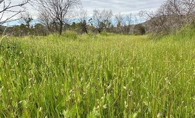 Parcela en Venta en MARCHIGUE
