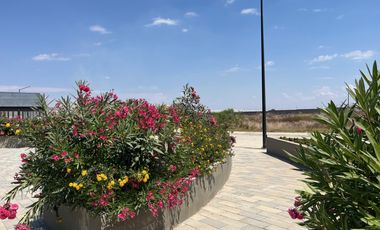 Terreno en Venta frente a El Campestre Zapopan