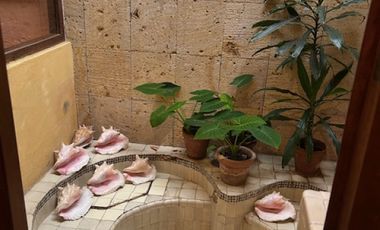Casa en Venta en Nepantla de Sor Juana Inés