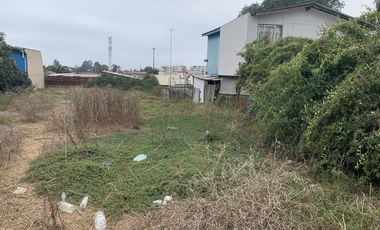 PLAZA LAS PETRAS CONCON