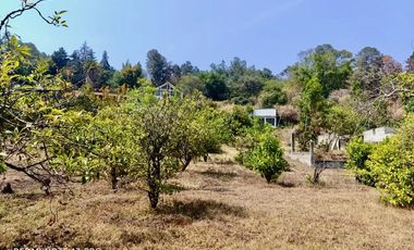 Terreno en Venta en Nepantla de Sor Juana Inés de la Cruz