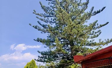 Terreno en Venta en Nepantla de Sor Juana Inés de la Cruz