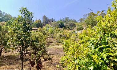 Terreno en Venta en Nepantla de Sor Juana Inés de la Cruz