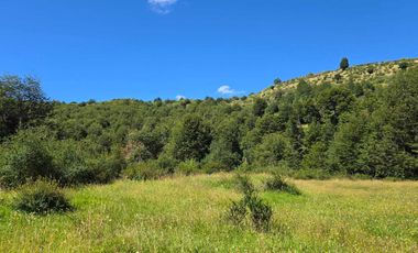 Parcela en venta  en RÍO IBAÑEZ