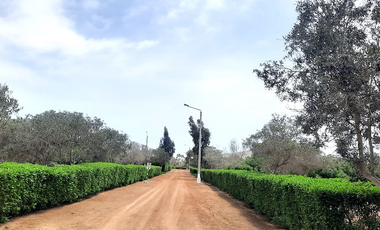 Terreno venta en Pucusana, Lima